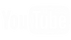 YT-2